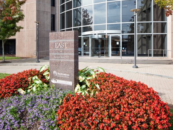 front island with flowers